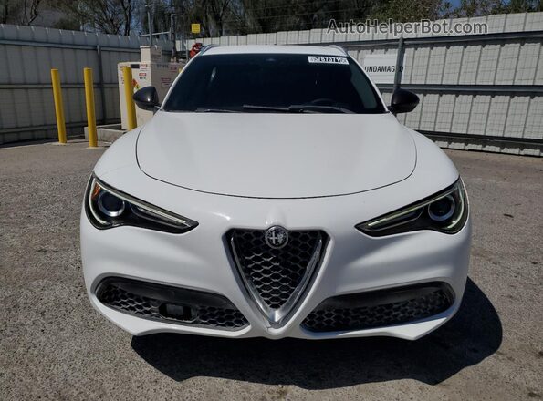 ZASPAKAN0L7C75985 2020 ALFA ROMEO STELVIO White Widok z tyłu