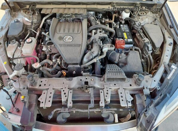 2T2GGCEZ0PC020022 2023 LEXUS NX Gray VIN կոդի պիտակի տեսք