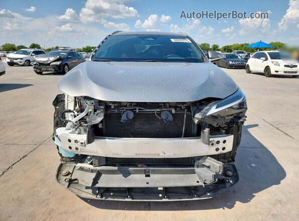 2T2GGCEZ0PC020022 2023 LEXUS NX Gray Հետևի տեսք