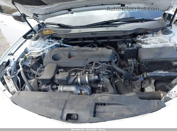 19UUB5F49MA010708 2021 ACURA TLX White Widok z tyłu
