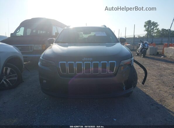 1C4PJLLB9LD643034 2020 JEEP CHEROKEE Gray Սալոնի հետևի տեսք