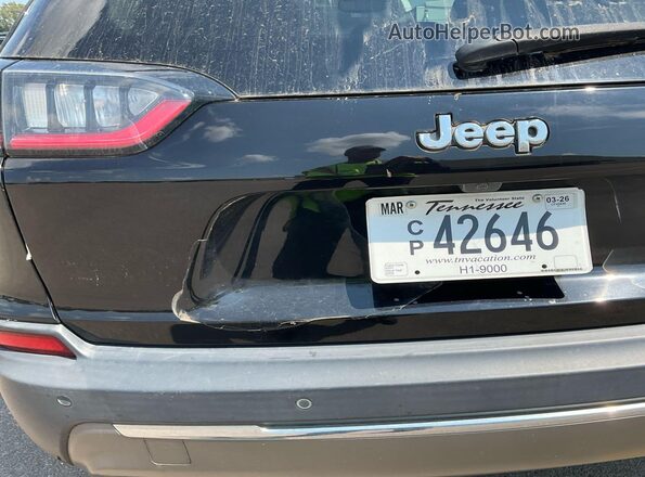 1C4PJMDX3LD587379 2020 JEEP CHEROKEE  Սալոնի հետևի տեսք
