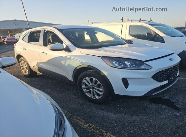 1FMCU9G64LUB14818 2020 FORD ESCAPE  Вид наклейки с VIN-кодом