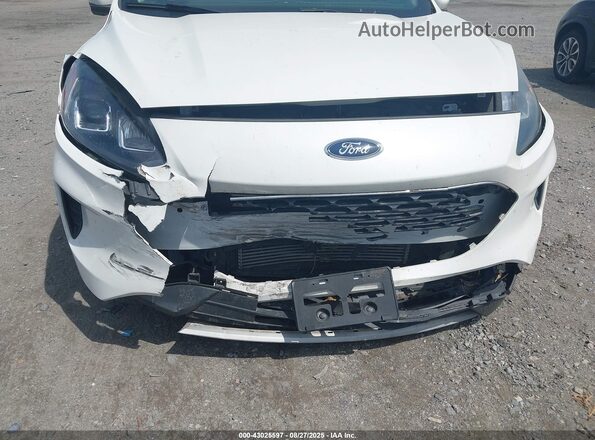 1FMCU9G6XLUB06285 2020 FORD ESCAPE Белый Вид спереди