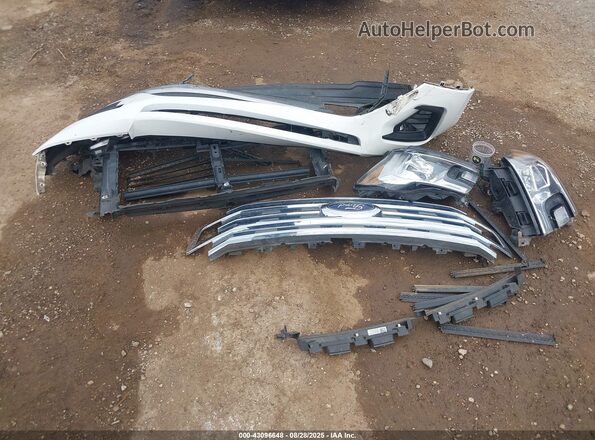 1FMJK1HT0LEA49110 2020 FORD EXPEDITION White Instrument cluster view