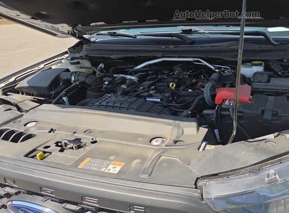 1FTER4FH7NLD09762 2022 FORD RANG  Vista de la etiqueta del VIN