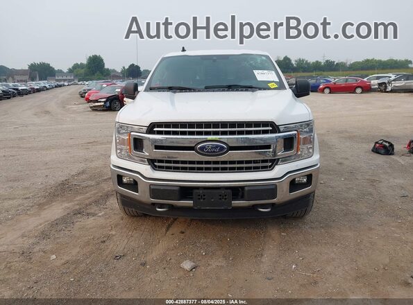 1FTEW1EP2LFA84694 2020 FORD F150 Белый Вид щитка приборов