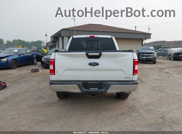 1FTEW1EP2LFA84694 2020 FORD F150 Белый 