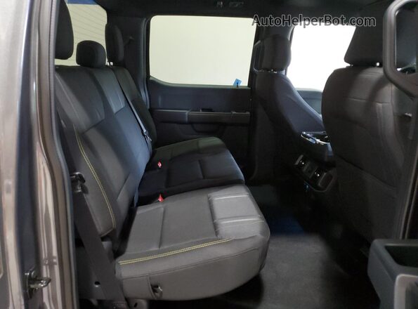 1FTEW2LP9SKD15346 2025 FORD F150 Серый 