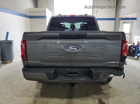 1FTEW2LP9SKD15346 2025 FORD F150 Серый 