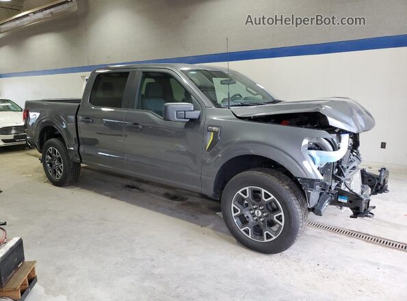1FTEW2LP9SKD15346 2025 FORD F150 Серый 