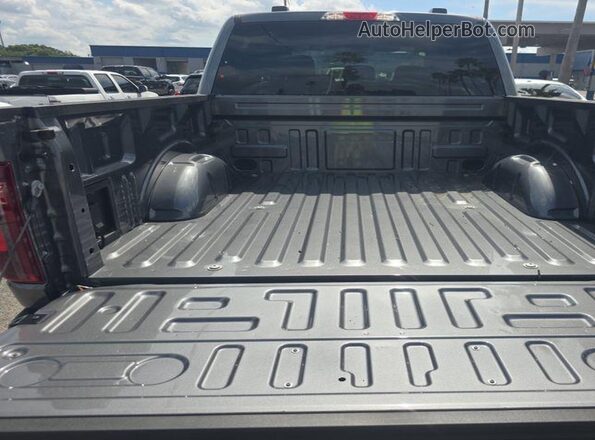 1FTEW3LP0SFA23485 2025 FORD F150  Панорамний вид салону 360°