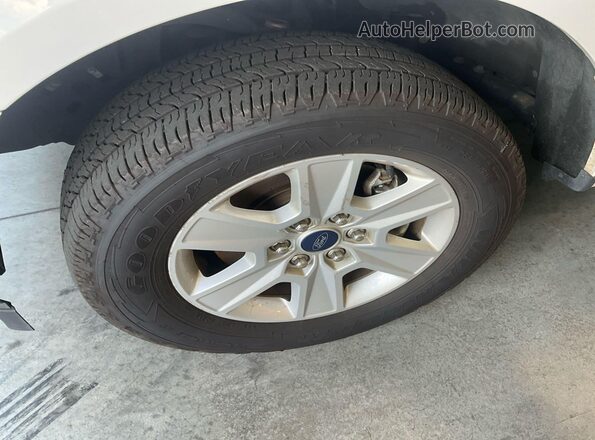 1FTEX1C42KKE53033 2019 FORD F150  Вид задніх сидінь