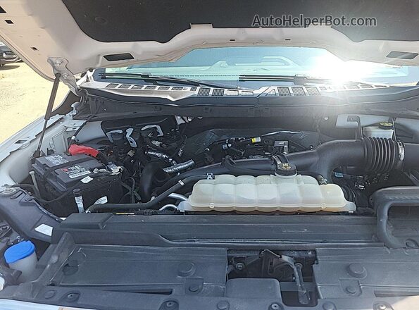 1FTEX1EP4MKD40369 2021 FORD F150  Rear left