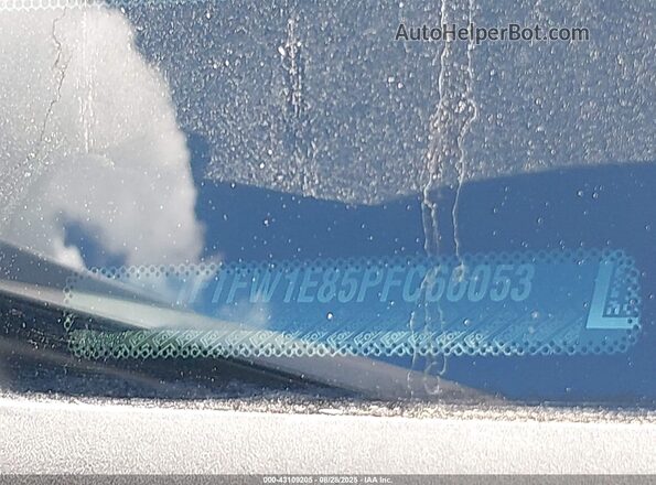 1FTFW1E85PFC66053 2023 FORD F150 Gray 