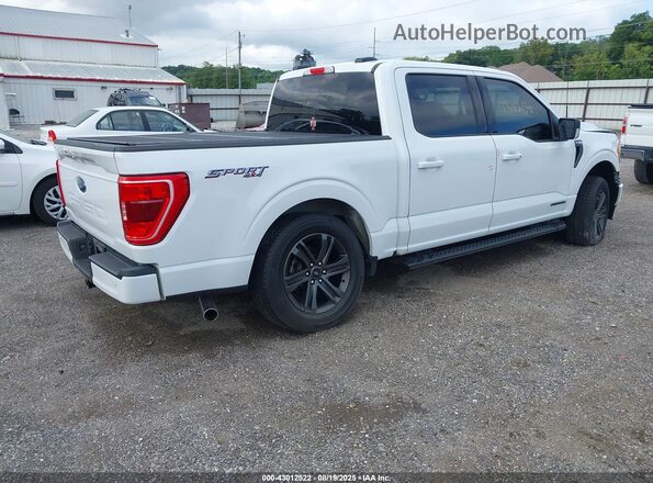 1FTFW1ED8NFB31255 2022 FORD F150 White Tył prawy