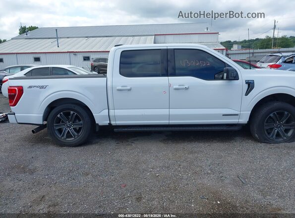 1FTFW1ED8NFB31255 2022 FORD F150 White Widok wnętrza z tyłu