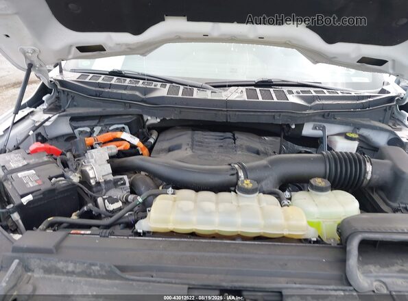 1FTFW1ED8NFB31255 2022 FORD F150 White Widok z tyłu