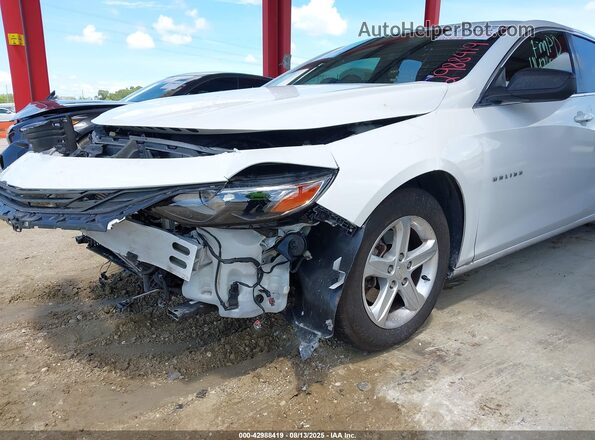 1G1ZB5ST1LF075595 2020 CHEVROLET MALIBU White 