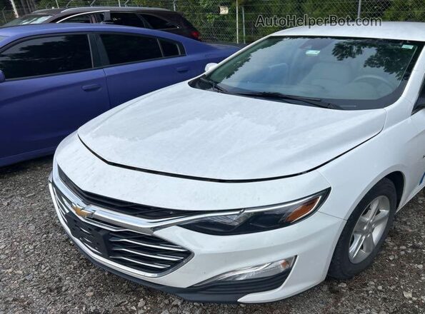 1G1ZC5ST3LF147216 2020 CHEVROLET MALIBU  Вид задних сидений