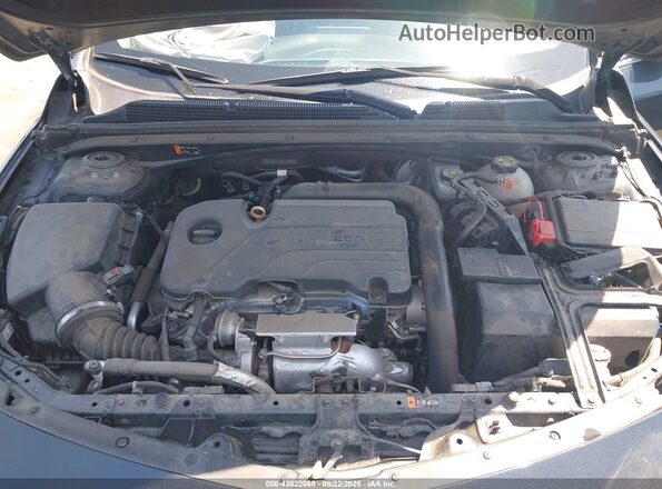 1G1ZG5ST1MF018963 2021 CHEVROLET MALIBU Gray Հետևի տեսք
