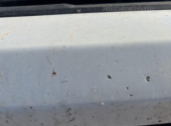 1GC1YLE72LF295480 2020 CHEVROLET SILVERADO  