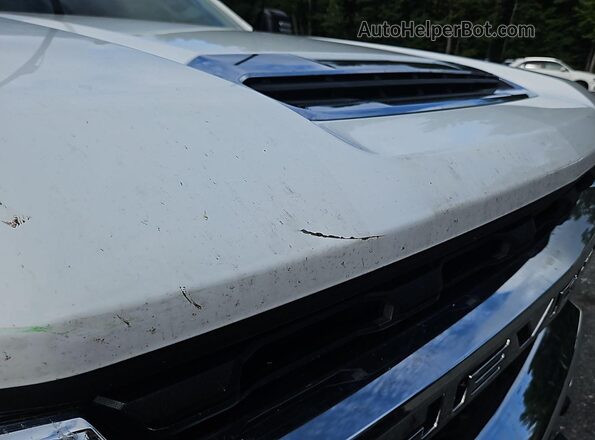 1GC1YNE78LF307191 2020 CHEVROLET SILVERADO  