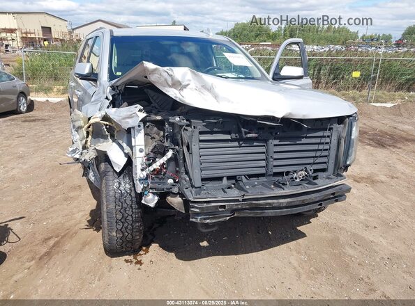 1GNSKAKC8LR181372 2020 CHEVROLET TAHOE Silver Vista frontal