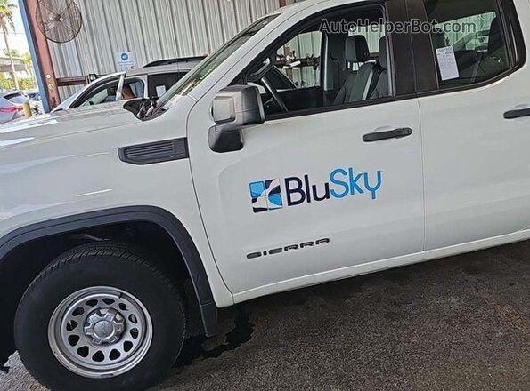 1GTR8AEH3LZ235951 2020 GMC SIERRA  