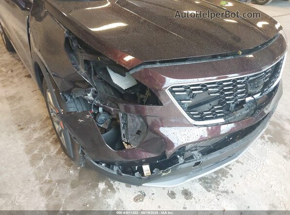 1GYFZCR42MF001347 2021 CADILLAC XT4 Бордовый 
