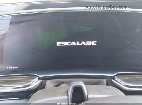 1GYS4FKL1PR552467 2023 CADILLAC ESCALADE Black უკანა სავარძლების ხედი