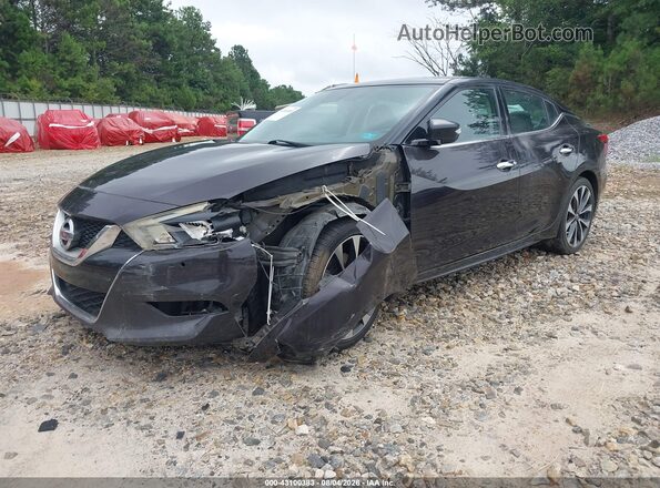 1N4AA6AP7GC422779 2016 NISSAN MAXIMA Purple წინა ხედი