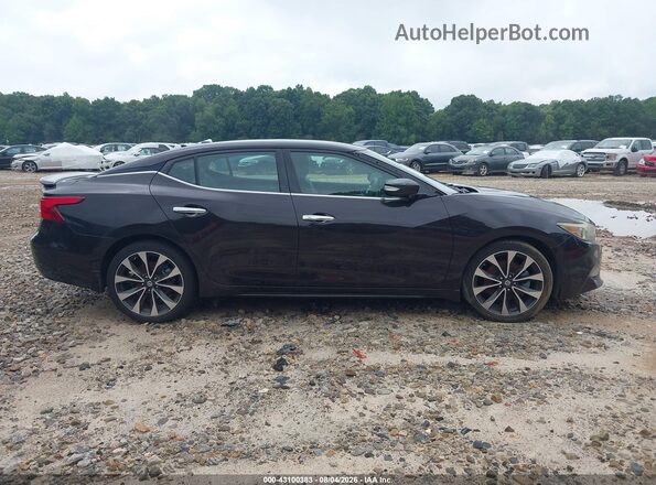 1N4AA6AP7GC422779 2016 NISSAN MAXIMA Purple უკანა სალონის ხედი