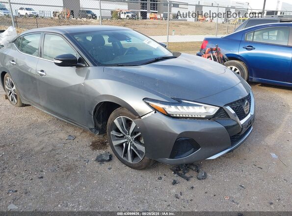 1N4AA6CV4LC373983 2020 NISSAN MAXIMA Gray Widok z przodu