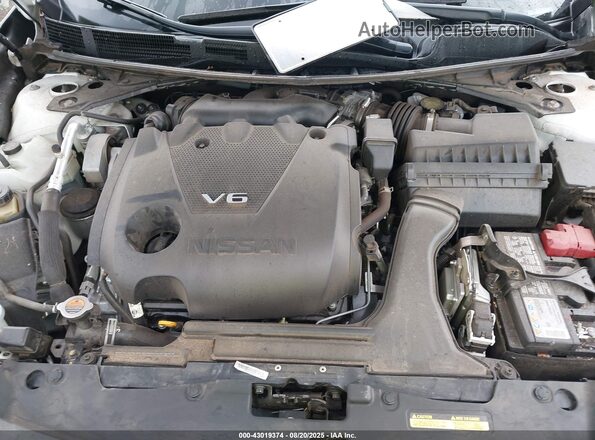 1N4AA6CV5MC515386 2021 NISSAN MAXIMA White Widok z tyłu