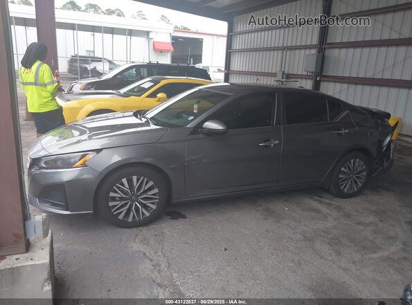 1N4BL4DV6PN375424 2023 NISSAN ALTIMA Серый Панорамный вид салона 360°