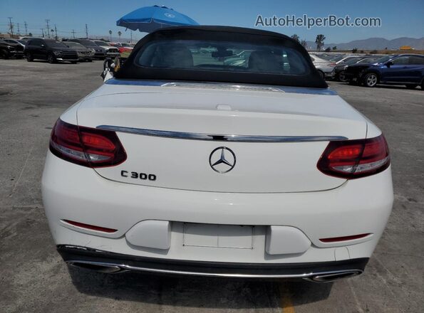 W1KWK8DB1MG101243 2021 MERCEDES-BENZ C White 