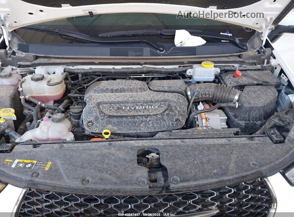 2C4RC1L70PR584090 2023 CHRYSLER PACIFICA Белый Вид сзади