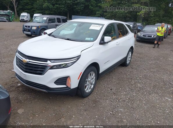 2GNAXTEV8N6107664 2022 CHEVROLET EQUINOX Белый Передняя левая четверть