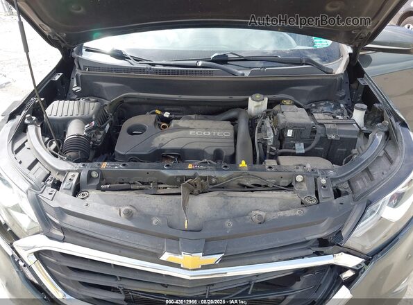 2GNAXUEV2L6110109 2020 CHEVROLET EQUINOX Gray უკანა ხედი
