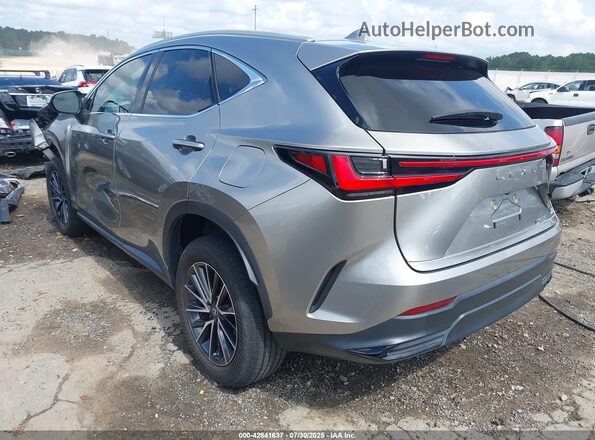 2T2ADCAZ0PC005024 2023 LEXUS NX 250 Золотой Задняя левая четверть
