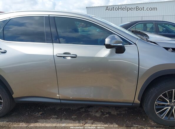 2T2ADCAZ0PC005024 2023 LEXUS NX 250 Золотой Панорамный вид салона 360°