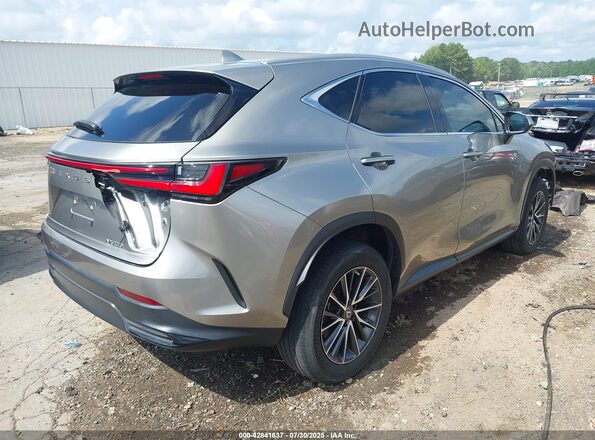 2T2ADCAZ0PC005024 2023 LEXUS NX 250 Золотой Задняя правая четверть