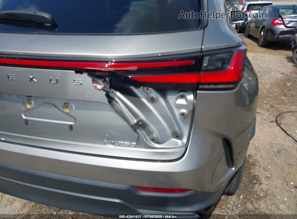 2T2ADCAZ0PC005024 2023 LEXUS NX 250 Золотой 