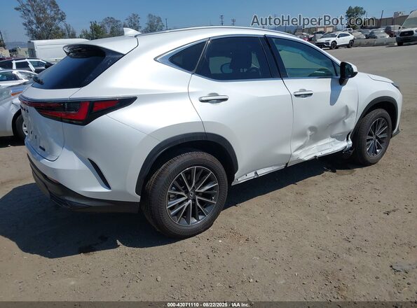 2T2ADCAZ1SC026781 2025 LEXUS NX 250 Белый Задняя правая четверть