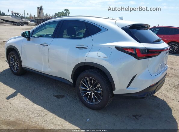 2T2ADCAZ1SC026781 2025 LEXUS NX 250 Белый Задняя левая четверть