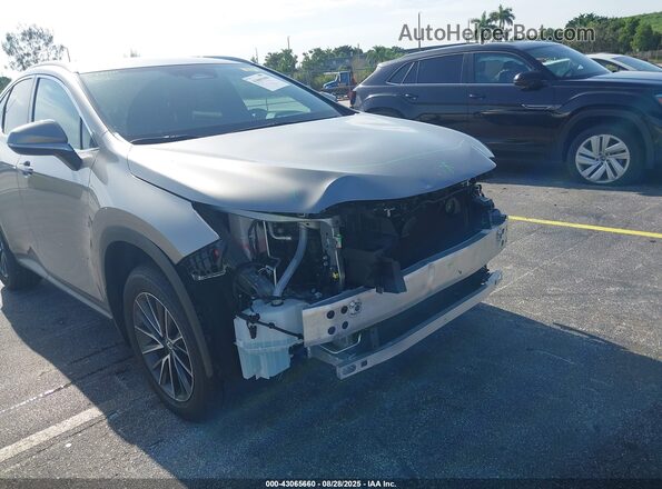 2T2ADCAZ5SC025066 2025 LEXUS NX 250 Gray Widok z przodu