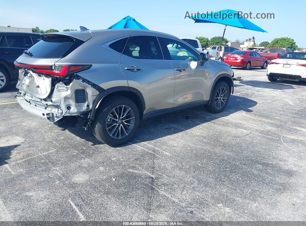 2T2ADCAZ5SC025066 2025 LEXUS NX 250 Gray Tył prawy