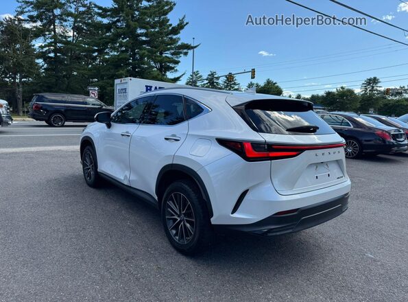2T2ADCAZ7NC001825 2022 LEXUS NX 250 White 