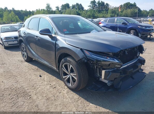 2T2BAMCA1SC105376 2025 LEXUS RX Gray Панорамний вид салону 360°